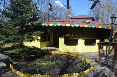 Кафе Лимпопо