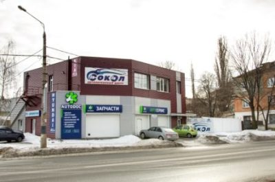 Сокол