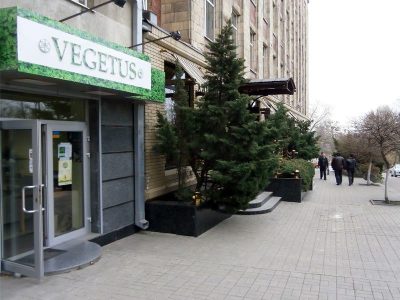 Vegetus