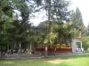 Лесная Сказка