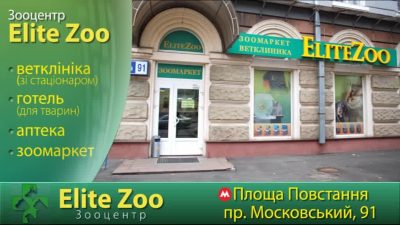 Ветеринарная клиника «EliteZoo»