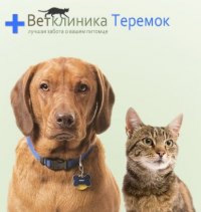 Ветеринарная клиника «Теремок»