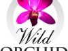 Wild Orchid