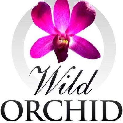Wild Orchid